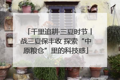 千里追耕·三夏时节丨战三夏保丰收 探索“中原粮仓”里的科技感